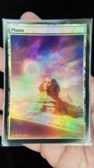 Plains #17 Foil Extended
